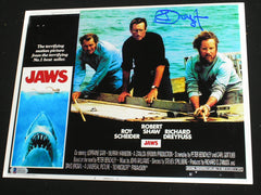 RICHARD DREYFUSS Signed JAWS 10x13 Photo Hooper Autograph Beckett BAS COA D