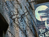 DAVID NAUGHTON Signed 8x10 PHOTO American Werewolf in London Autograph JSA COA F