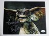 MARK DODSON Signed GREMLINS 8x10 Photo Autograph JSA COA A