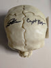 JOHN KASSIR Signed Toy SKULL Cryptkeeper Tales from the Crypt JSA COA