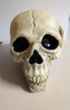 JOHN KASSIR Signed Toy SKULL Cryptkeeper Tales from the Crypt JSA COA
