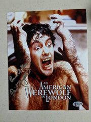 DAVID NAUGHTON Signed 8x10 Photo American Werewolf in London Autograph BAS JSA A